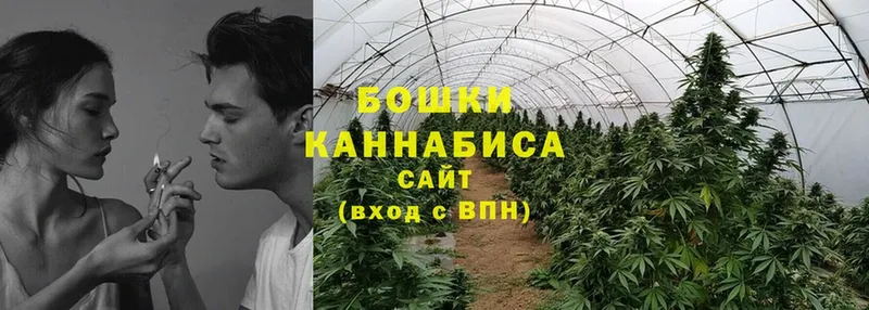 купить наркотик  blacksprut ссылка  Марихуана ГИДРОПОН  Игра 